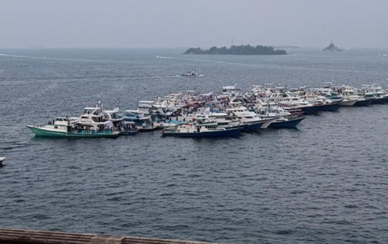 Bidheyseen hoadhumuge namugai hulhumale falhugai oiy gina adhadheh ge dhoanithakah fuluhun araifi