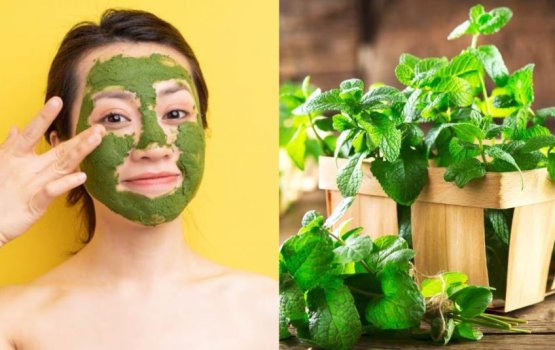 Kudheena fathun hamuge sihhathah gina faidhaa thakeh!