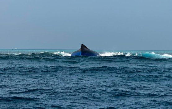 BREAKING: Mudhaa ufulaa boat in gellunu dhivehi meehaa maruvefai ovvaa fenijje