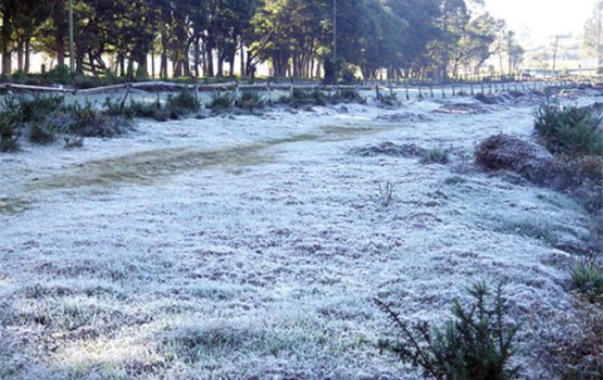 Lanka ge Nuwara Eliya gai finihoonumin fen ganduvaa varah dhahvejje