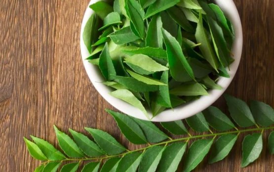 Hikandhi faiy nukai ukaalumuge kurin visnaalan jehey dhethin kameh!