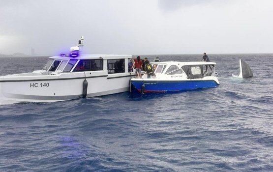 Fathuruverinthakeh govaigen dhathurukuramun dhiya Lauch eh bandun jahaalaifi