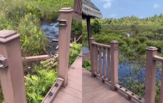 Fuvahmulak bandaara kilhi ah anekkaa ves gellun dheefi