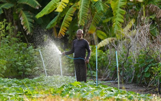 Dhanduverinnah dhookuraa loan ah hulhuvaalaifi