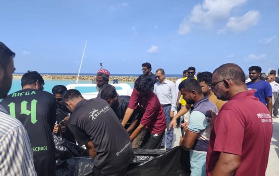 Dhigurashu alifaanuge haadhisagai maruvi 2 bidheysee ehge hashigandu gaumah fonuvailaifi