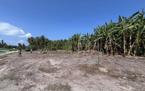 Council ge huhdha nethi hirimaradhoo rayyithunnah goathi dheyn ulheythee polihah