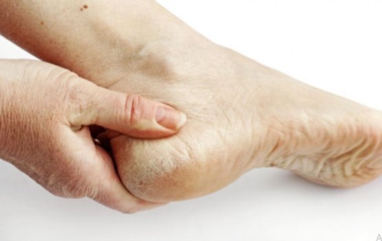 Funnaabu falhaigen dhiumah dhevidhaane geveshi 