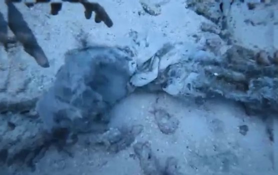 India meehun accident vi sarahadhdhuge kanduge adin meehehge atheh fenijje