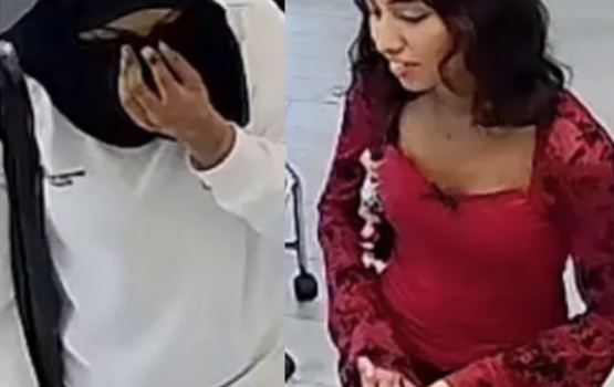 Fake slip fonuvaigen 8,000 ahvure gina rufiyaage viyafaari kuri 2 anhenun hoadhanee