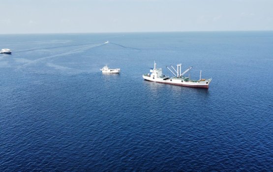 Miyaru hamalaaehgai aniyaavi fathuruveriehge eh fai burikollan jehijje