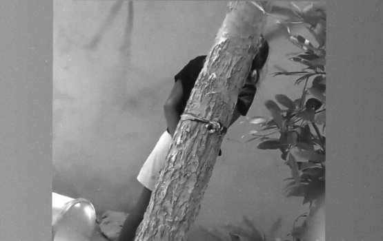 Kudakujjaku gaheh gai bandhe aniyaakuri massala eh balanee