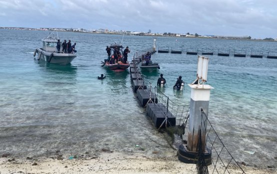 Valeh assan feybi meehaa hoadhanikoh maruvefai ovvaa fenijje