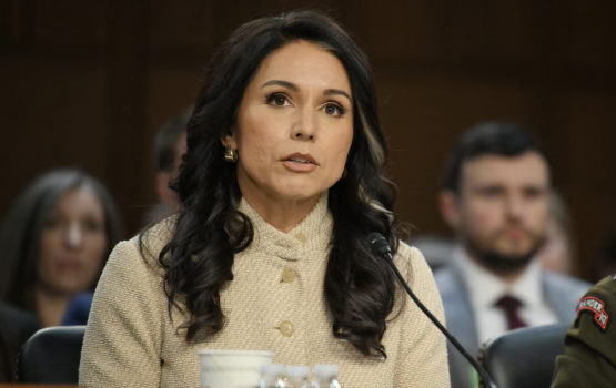 America ge intelligence veriyaa Tulsi Gabbard isthiufaa dheefi