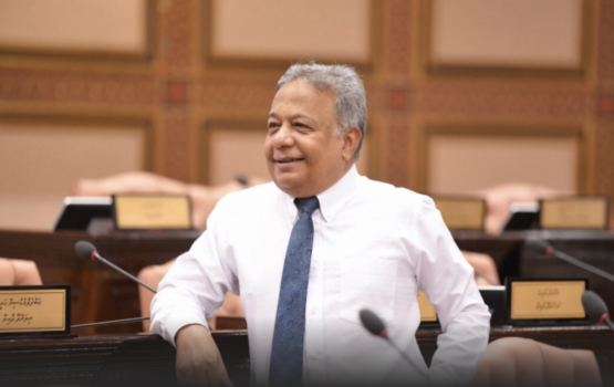 20 vana majileehuge dhevana naib raees akah Saleem