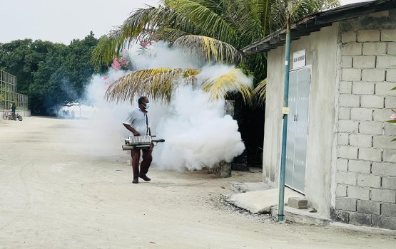 Landhoo gai humeh fethuri, gina bayaku balivaathee covid aai influenza ah test kuranee 