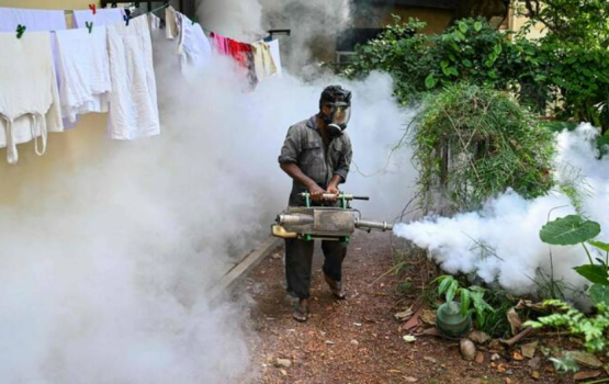 Lanka gai mi aharu 50,000 ah vure gina dengue case report kuri