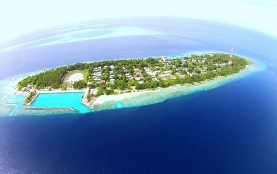 Hamgnameedhoo gai bagee akaaeku moodhah vetti kujjaku nivaavejje