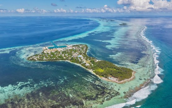 Maavashugai airport naalhan ninmi ninmun sarukaaru ge siyaasathaa hilaafu kamah maavashu council in bunefi