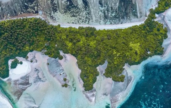 Council in beelamah hulhuvaalaafai vanikoh, savaahili addu ge ihthisaasun vakikoffi