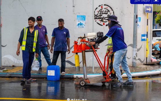 Ameenee magu ge thaaruge fenvaru dhenegathumattakai survey eh koffi