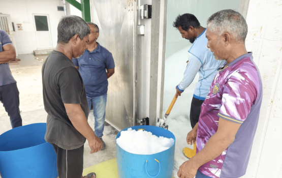Masveringe kanboduvumaa eku Kanduoigirin ice vikkan fashaifi