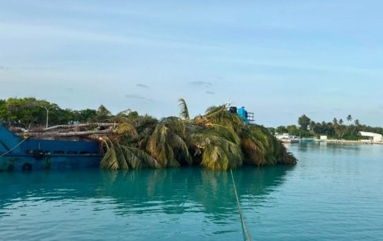 Isdhoo gai huhdha nunagai ethah satheeka rukeh negi massala eh balan fashaifi