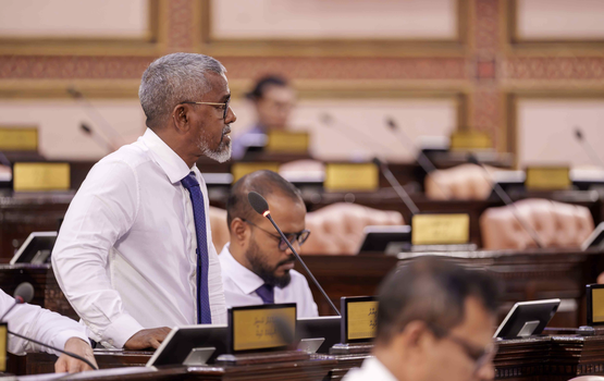 Dollar ge massala hallu kureveynee igthisoadhee vazeeru badhalu koigen: Ziyad