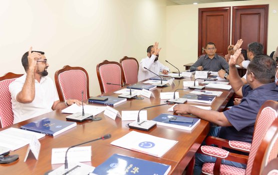 Bin athulumaa gulhey 2 petition ah bahus kuran 2 gadi iru dbeyn comittee in ninmaifi