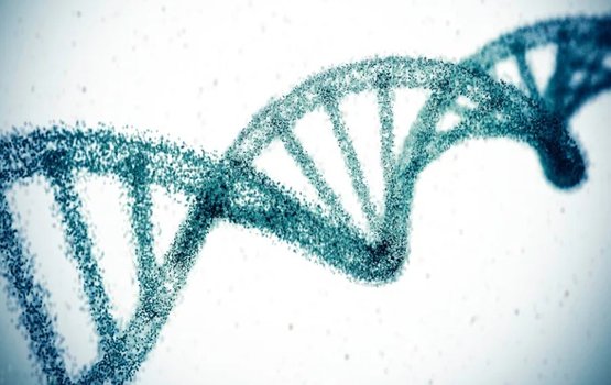 Gene therapy in cholestrol mathivumah dhaaimee faruvaa ehge ummeedhu aa vejje