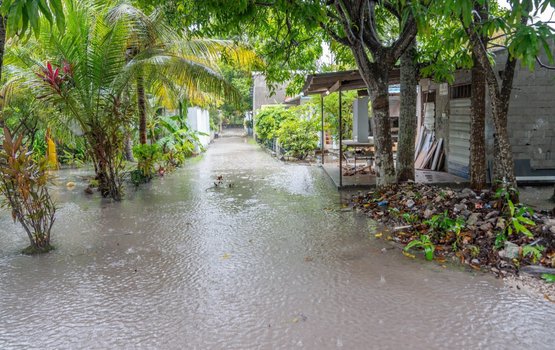 Kuriah oiy 24 gadi iruves moosun goasvaanethee samaaluvumah ilthimaas koffi