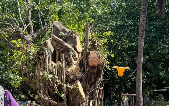Vilimale ge dhuvas vee nukagas kendi massala nubalan fuluhun ninmaifi