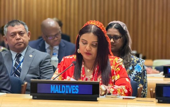 Covid ge sababun tharaaggeegai Raajje 15 aharu fahathah dhiya: Foreign Minister