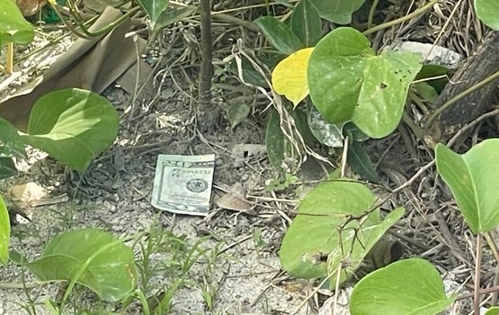 Magu thakun 20 dollar ge note thah fenunee keehve kan engijje