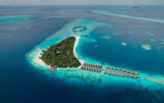 Faidhaa vamundhaairu Cocopalm bodu hithi ge muvazzafunnah service charge nudheythee kanboduvun